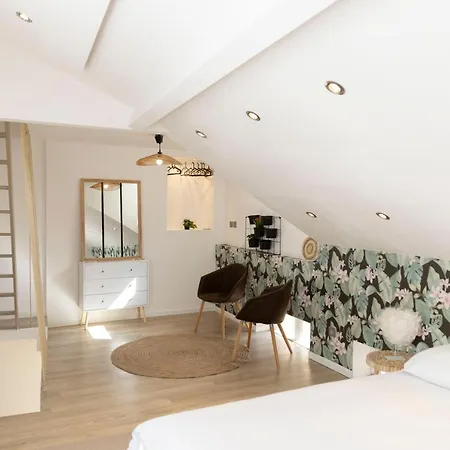 Apartament Magnifique Triplex Avec Sauna Plein Centre