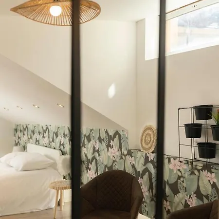 Magnifique Triplex Avec Sauna Plein Centre Metz