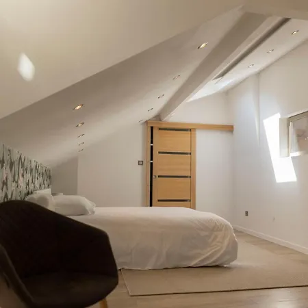 Magnifique Triplex Avec Sauna Plein Centre Lägenhet Metz